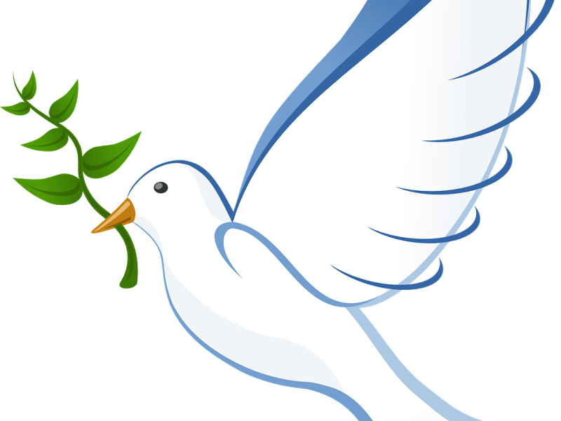 Les voeux du Pape François en ce 1 janvier&nbsp;2025,