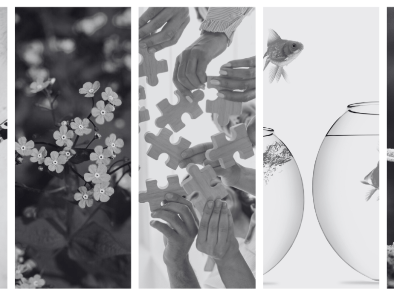 Un outil pour vivre un Carême d&rsquo;espérance